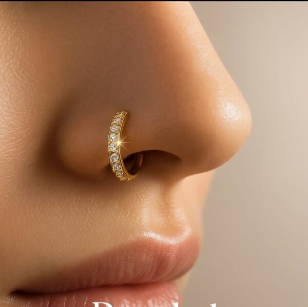 nose noth free nose pin